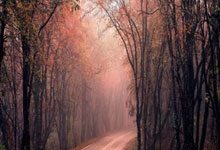 霍芬海姆队球员集体伤愈归队，全力备战下轮