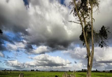 欧国联比赛俄罗斯队备战紧张