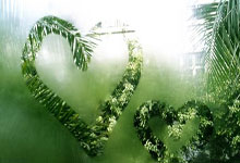 霍芬海姆队球员集体伤愈归队，全力备战下轮